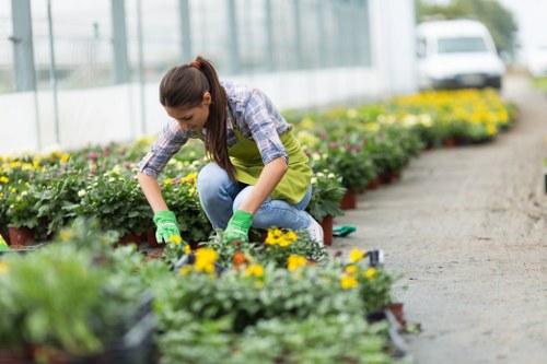 Garden landscaping with paving and planting in a Hounslow property
