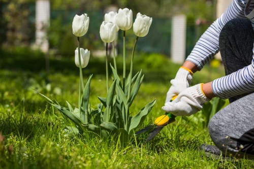 Landscaped garden design in Hounslow with planting and paving