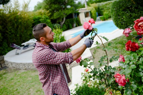 Thoughtful landscaping services in Hounslow with structured garden design