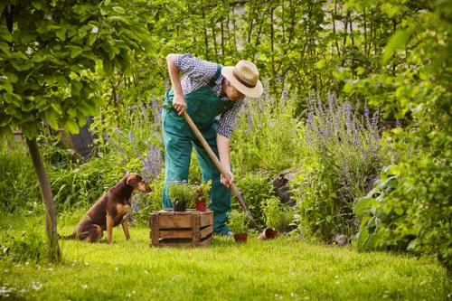 Professional landscaping team using safe methods and equipment in Hounslow
