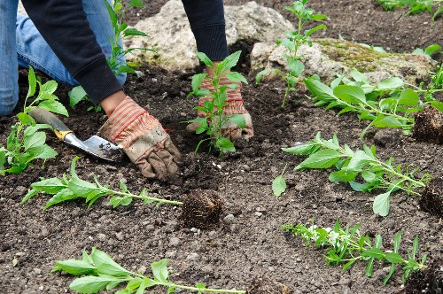 Low-maintenance hard landscaping materials and finishes in Hounslow
