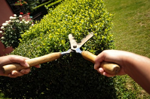 Investigating a landscaping service issue using job records