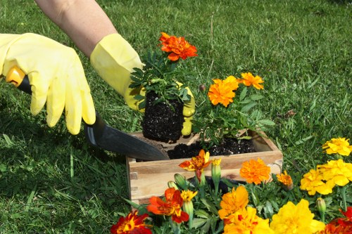 Waste removal and site clearance for landscaping project