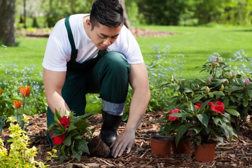 Annual review meeting for ethical sourcing and compliance in Hounslow landscaping