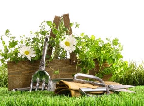 Professional Hounslow garden landscaping with planting and paving