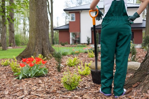 Final review stage in a landscaping complaints procedure